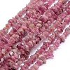 Natural Tourmaline Beads Strands G-P332-70-1