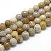 Natural Fossil Coral Beads Strands X-G-R446-6mm-28-1